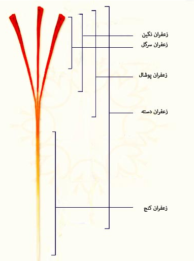 زعفران اصل